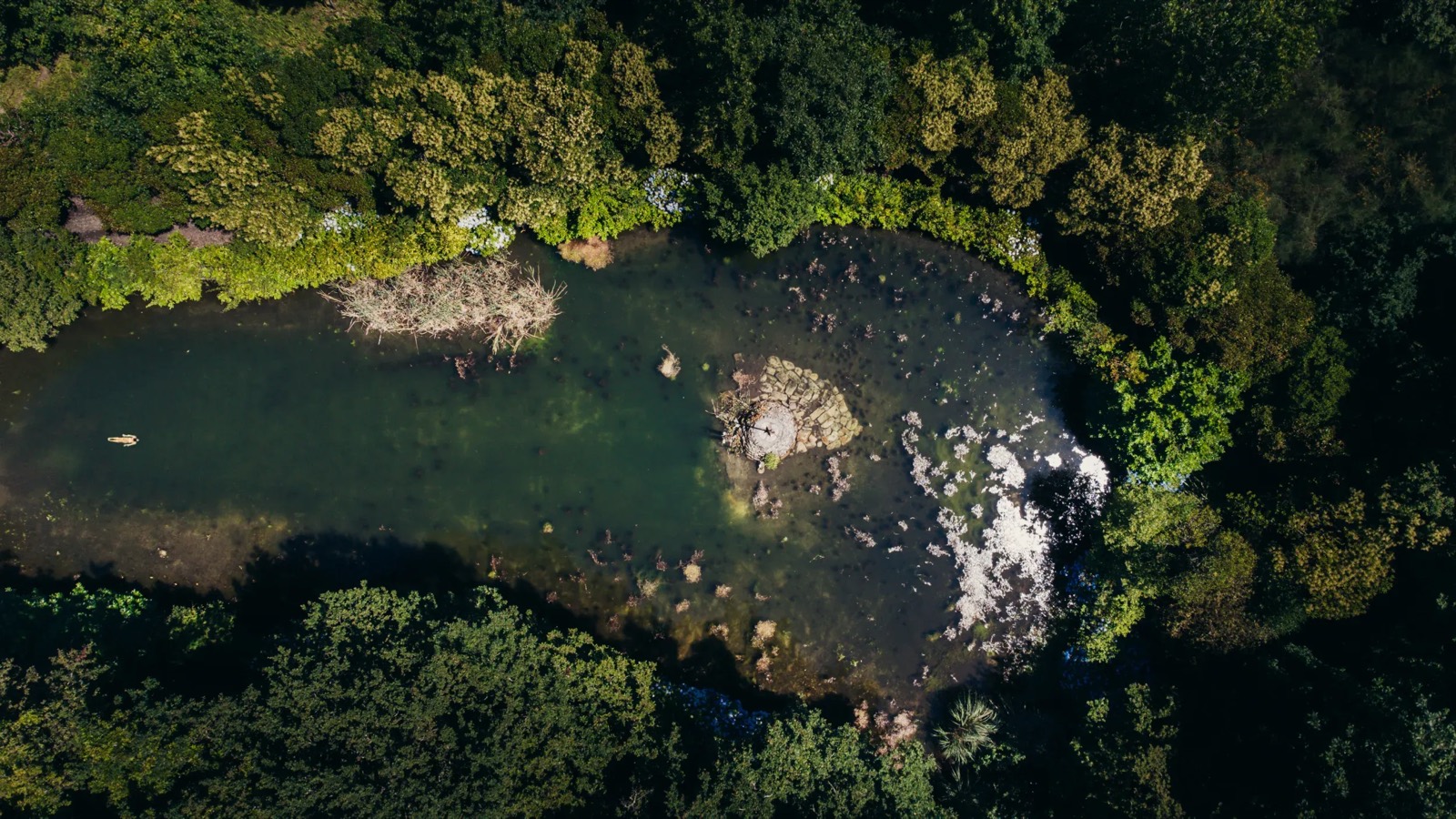 the lake at the garden from above, surrounded by forest