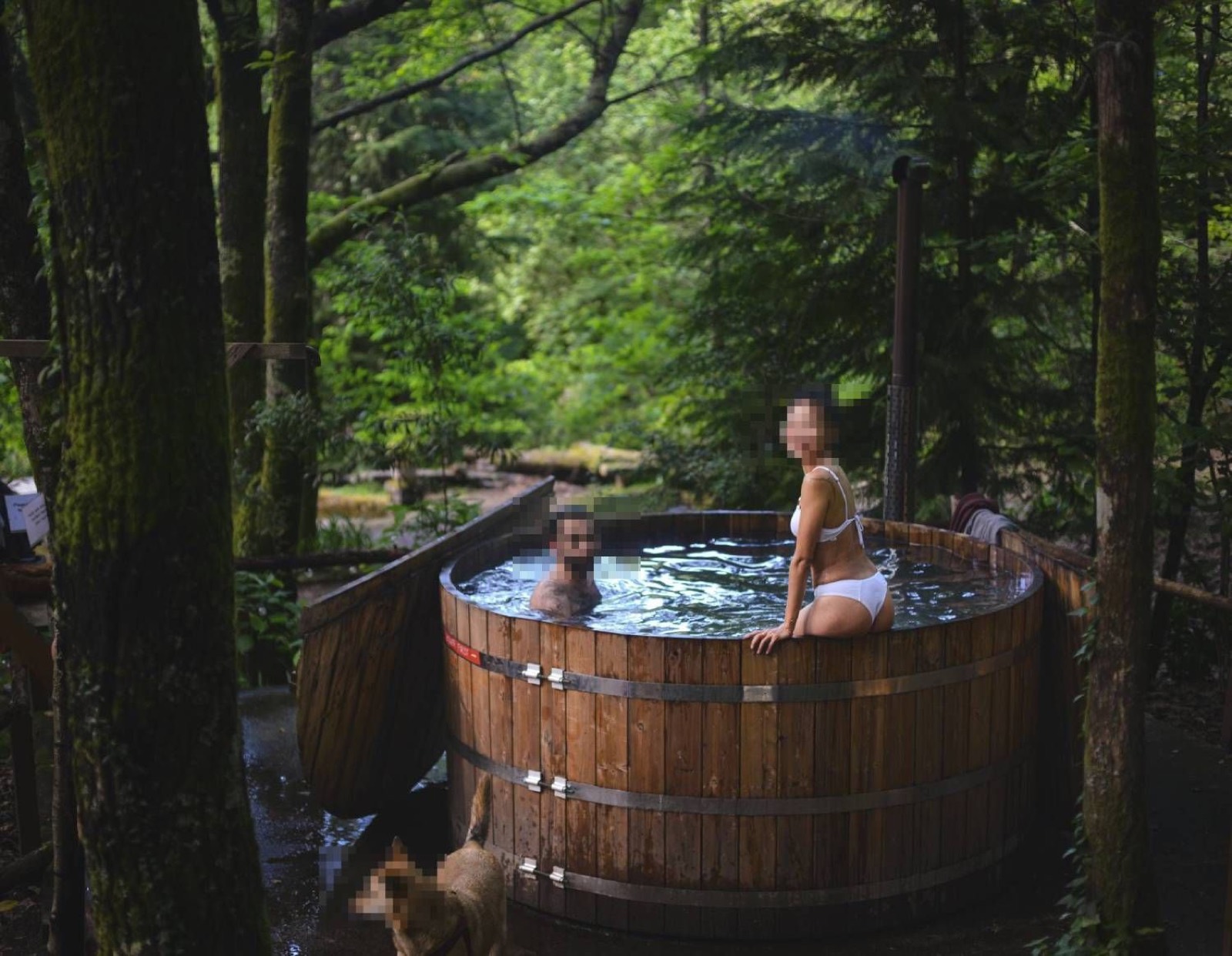 a wooden hot tub in the forest